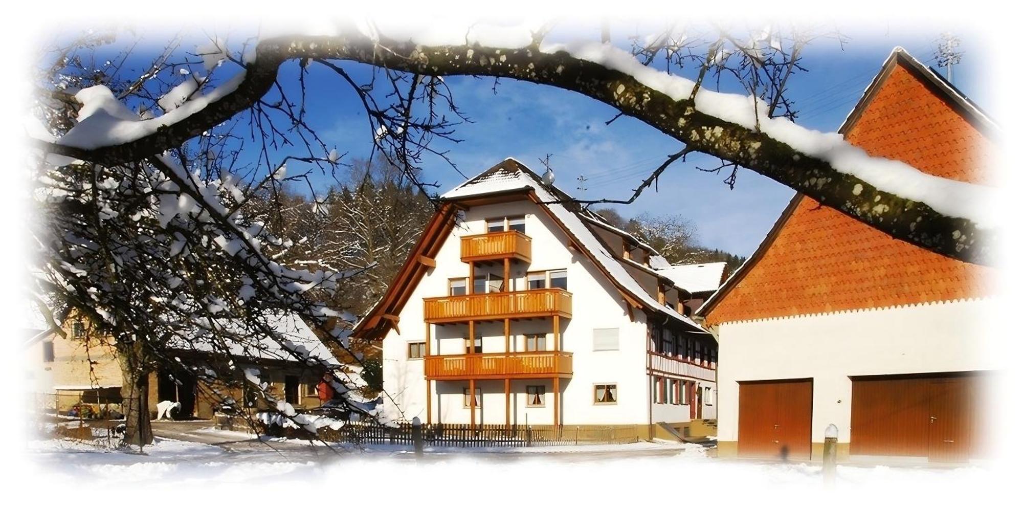 Mayer Burghoefe Owingen Exterior foto