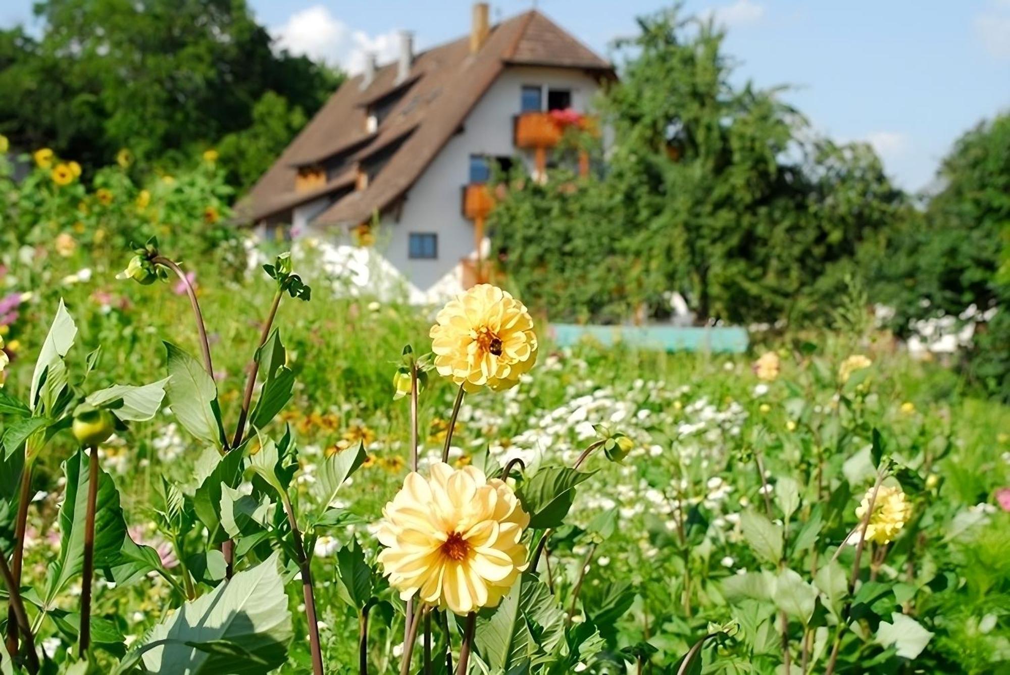 Mayer Burghoefe Owingen Exterior foto