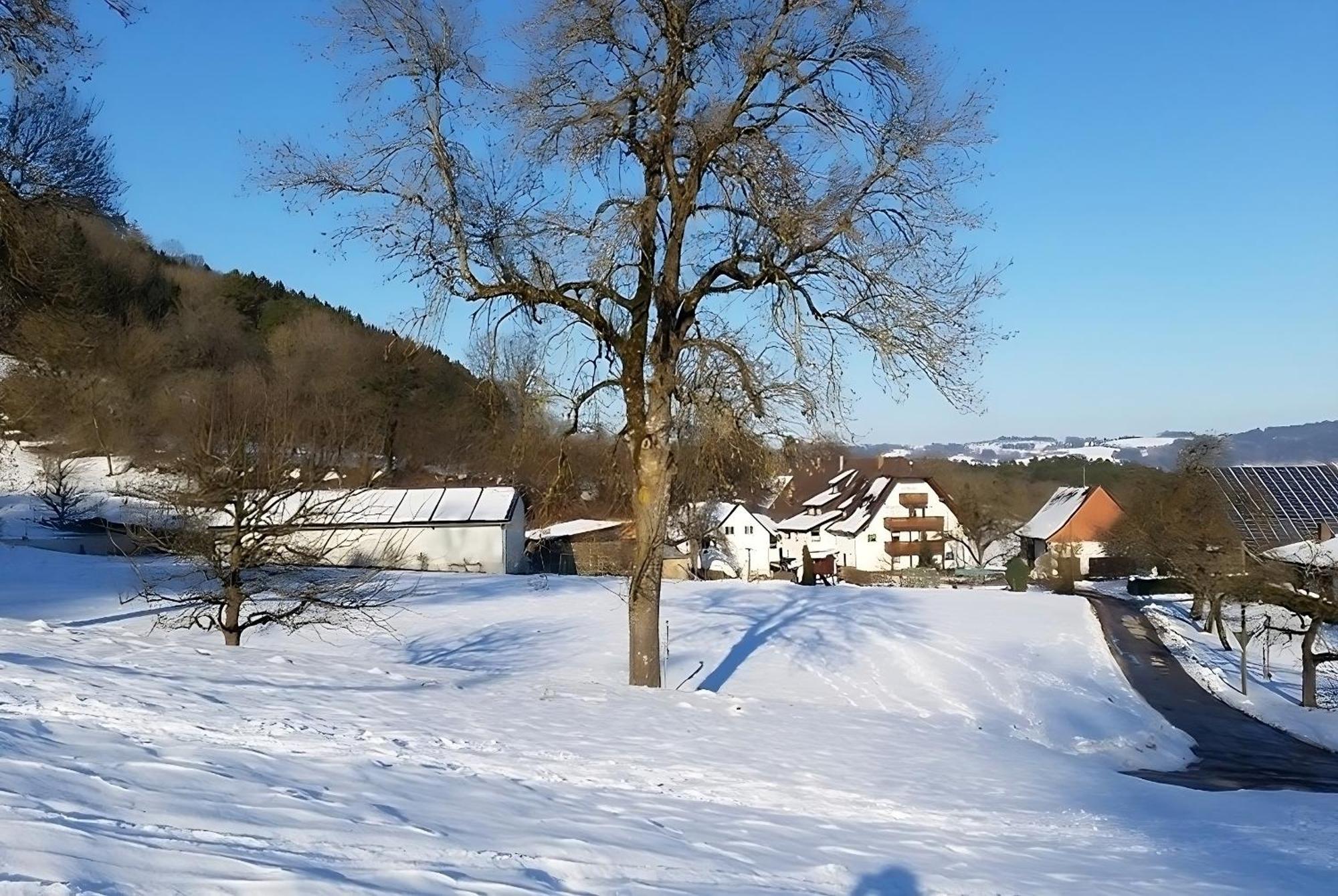 Mayer Burghoefe Owingen Exterior foto